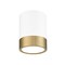 Z-Lite Algar Flush Mount, 1-Light, 6 In.W x 8 In.H, Matte White + Modern Gold/Frosted 1006F6-MW-MGLD-LED - alternate 8